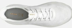 Sneakers GEOX
