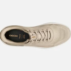 Sneakers GEOX "Spherica Plus A" U55MPA sand