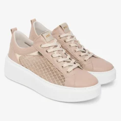 Sneakers NeroGiardini E615292D 677 E6152925292